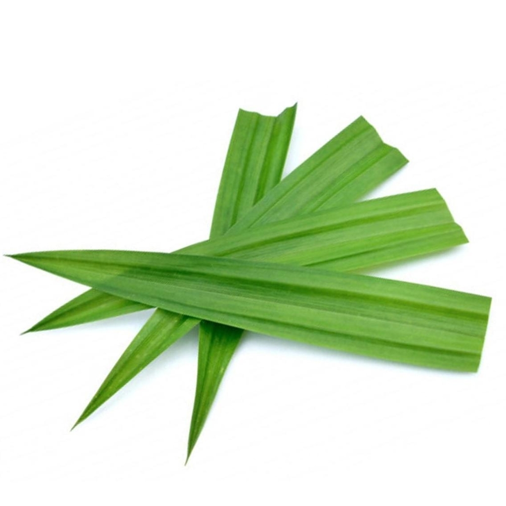 Dried Rampe Leaves – රම්පෙ -20g